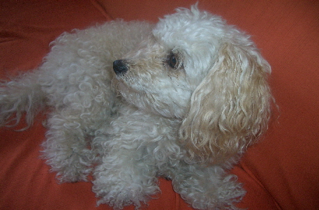 CIMG0406