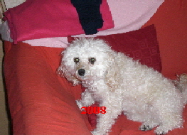 a_CIMG1647
